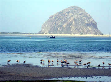 morro bay francisco san california rock